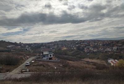 Teren intravilan 479mp in Dezmir - 14