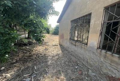 RECO , Spatiu comercial, Ineu,Bihor - 6