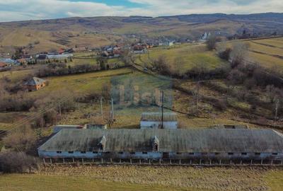 Comision 0%! Teren, 7400 mp constructie 826 mp, Paniceni Cluj - 4