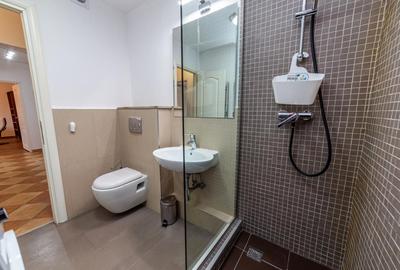 Apartament 2 camere | Zona Piata Alba Iulia - 14