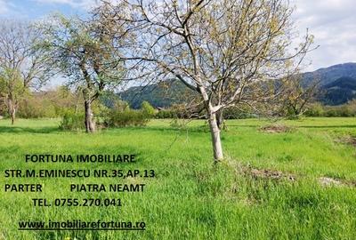 Teren intravilan, Alexandru cel Bun - 1