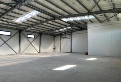 Spatiu depozitare si productie Soseaua de centura Chitila - 2
