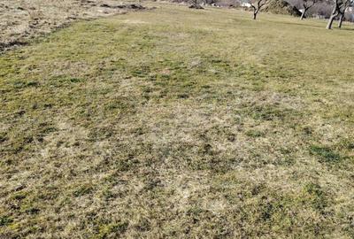 Teren Construcții intravilan de 2087 mp, în Exterior Sud