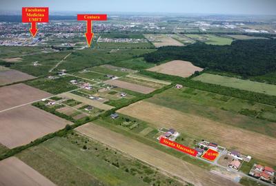 741mp Teren Mosnita, cu utilitati | 54.000Euro - Padurea Bistra - 4