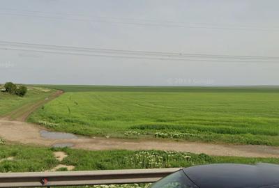 Loc Mihai Viteazu teren 8.8 ha aproape de DN și calea ferata Cta- Tulcea - 2