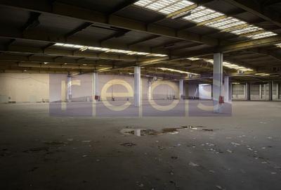 HALA | DEPOZIT - OTOPENI CENTURA  |  20.0000 MP - 19