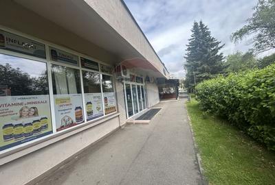 Spatiu comercial de inchiriat cu terasa - 2
