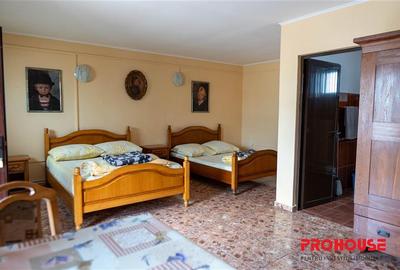 Pensiune + 4,7 Ha teren E85 Roman - Neamț - Afacere la cheie - 7