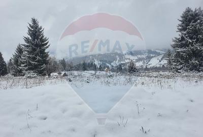 Teren 7,128mp Panaci / Strada Bucinis - 1