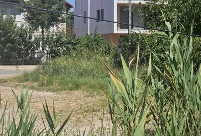 Mamaia Nord- Teren intravilan 500mp cu deschidere 17ml la Bulevardul Mamaia Nord - 6