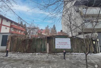 Vanzare teren Lacul Tei - 4