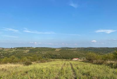 Teren intravilan, Saldabagiul de Munte - 1