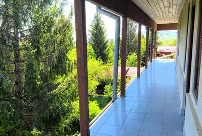 Complex imobiliar format din 2 Vile si un teren generos de 3659Mp - 13