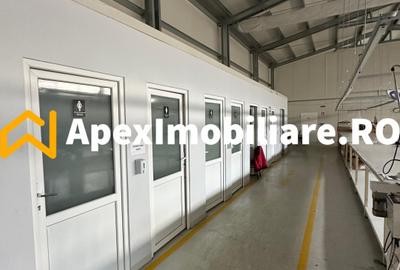 Hala Industrială Malu Rosu Ploiesti 550 mp + Birouri | Parcare 20 | Acces TIR | - 22