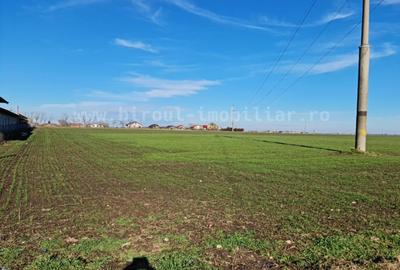 3487mp Teren Intravilan pentru Casă/Vilă sau Alte Proiecte, comision 0, Cumpana - 3