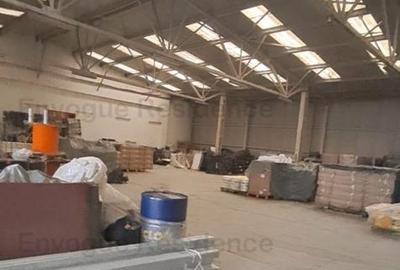 Hale de inchiriat - 4