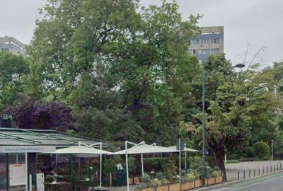 Spatiu comercial pe Beller cu terasa - Dorobanti - 1