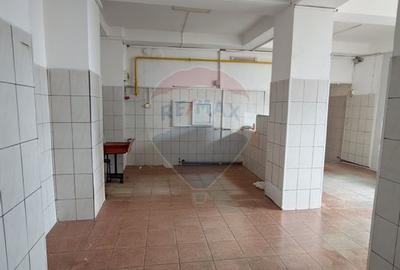 Spațiu comercial 200mp lângă Parcul Romanescu - 4