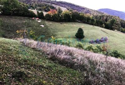 Teren intravilan de 1400 mp in Suncuius, de vanzare, Bihor - 10