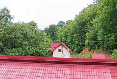 Complex turistic in Valcele-Covasna - 22