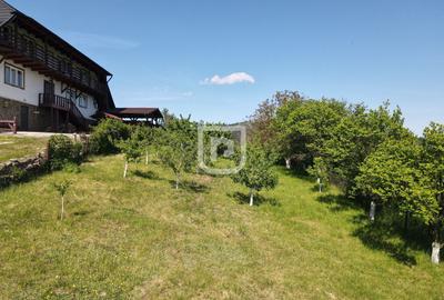 Casa bătrânească cu foișor și teren - 5