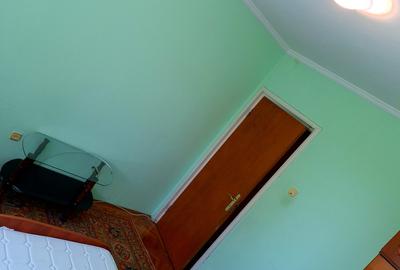 2 camere Craiovei , Centrală / NEGOCIABIL , Amplasament DEOSEBIT - 9