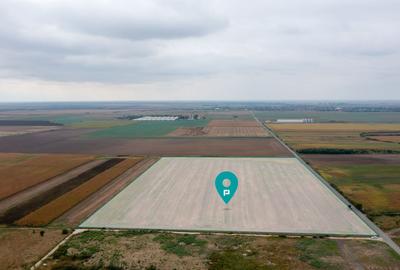 Teren extravilan 5 hectare ( zonă industrială ) Șag - 3