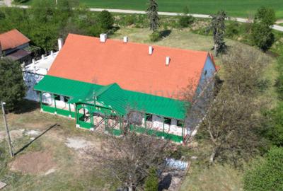 Conac de vanzare in Bihor, restaurat, la 40 km de Oradea, Romania - 3