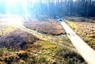 Teren intravilan, 2 fronturi, Drumul Padurea Pustnicu 65 - Greenfield - 19