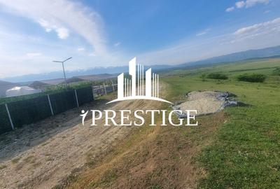 TEREN  EXTRAVILAN 2000 MP ÎN DAIA - BAVARIA | DEALUL 2 | DOAR 15€/MP - 8
