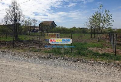 Mogosoaia 854 Mp (Ideal Investitie) - str. Eugen Barbu - 6