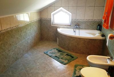 Drumul Negru - Pipera, vila P+1E, locatie linistita - 12