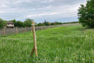 Teren 800mp, in zona Nord Paradisul Verde - 9