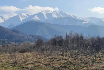 Teren intravilan 2500mp  pe Valea Avrigului,optim casa de vacanta - 5