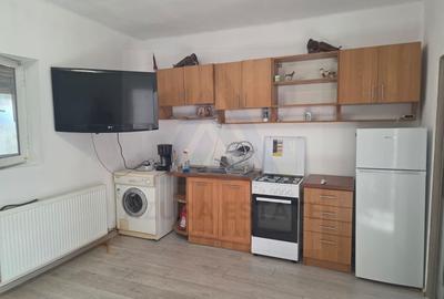 Studio la curte utilat complet cu terasa  zona Lazaret - 11