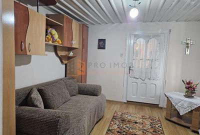 Casa tip parter + beci si teren 4684 mp in Candesti, Vernesti - 11