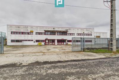 Hală de producție, cu birouri și teren, în Sebiș - 46