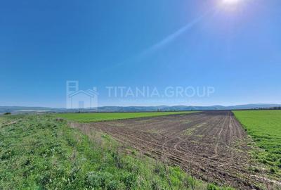 Teren de 8700 mp - extravilan - Bod, Brasov - 5