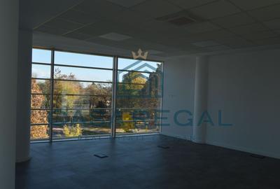 Spatiu de birouri, 160mp utili, zona Cantemir - 11