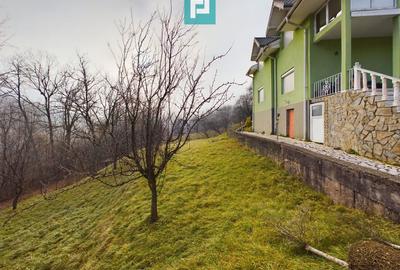 Casă de vacanță în Moneasa - 21