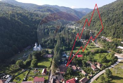 Hotel/Pensiune, în Ciobănuș