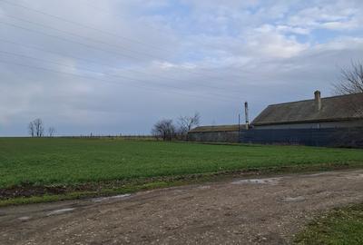 Corbu-3125mp in vatra satului,12euro/mp - 4