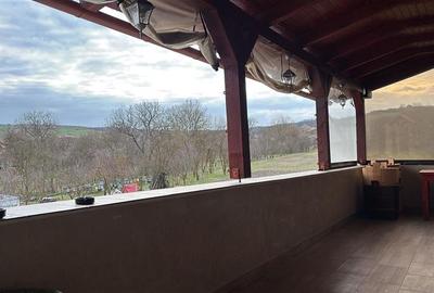 De vanzare spatiu comercial cu teren de 80 arii, Santioana, Jud Mures - 16