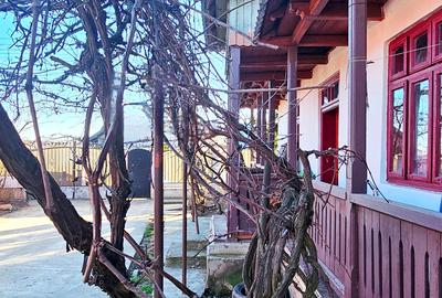 Casa individuala P+M,casa batraneasca locuibila si 805mp teren,Savinesti - 16