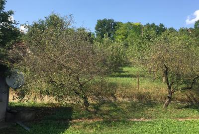 Vânzare teren intravila  2030 mp, cu casa demolabila,  în comuna Cojocna - 1