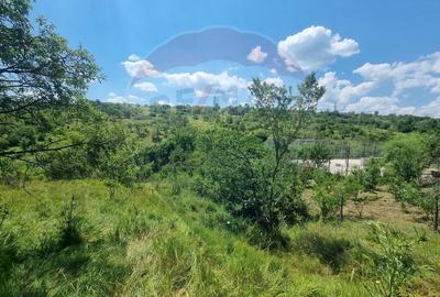 Teren intravilan 11.500 mp – Strada Cismari Vălenii de Munte - 2