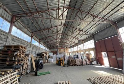 Caransebes, Hala Spatiu Industrial, Platforma 1200 mp - 3