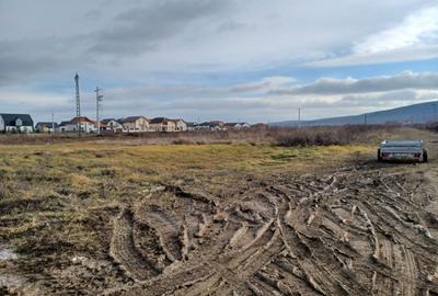 Parcela casă, 812 mp, Rontău. 42 000 E. Comision 0. - 6