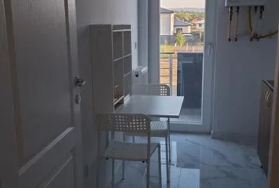 Apartament cu 1 cameră, decomandat, zona Lunca Cetățuii - 2