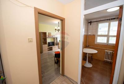 Apartament decomandat cu 3 camere de inchiriat Prevederii Trapezului - 11